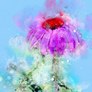 Meet your Posher, Joanne